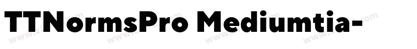 TTNormsPro Mediumtia字体转换